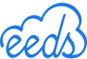 The word 'eeds' in blue in cursive writing, with curved lines in the shape of a cloud over the word.